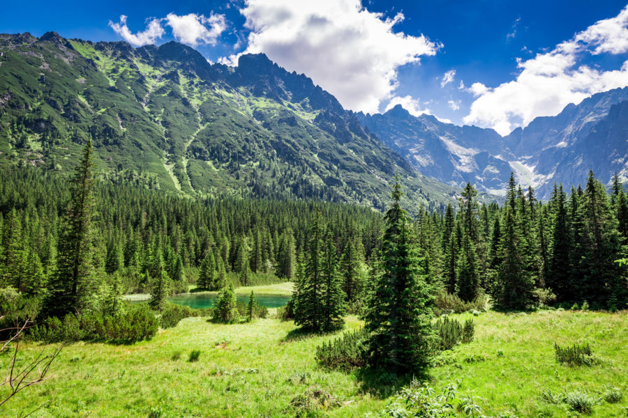 Czego nie wiesz o polskich górach