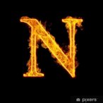 NEXU