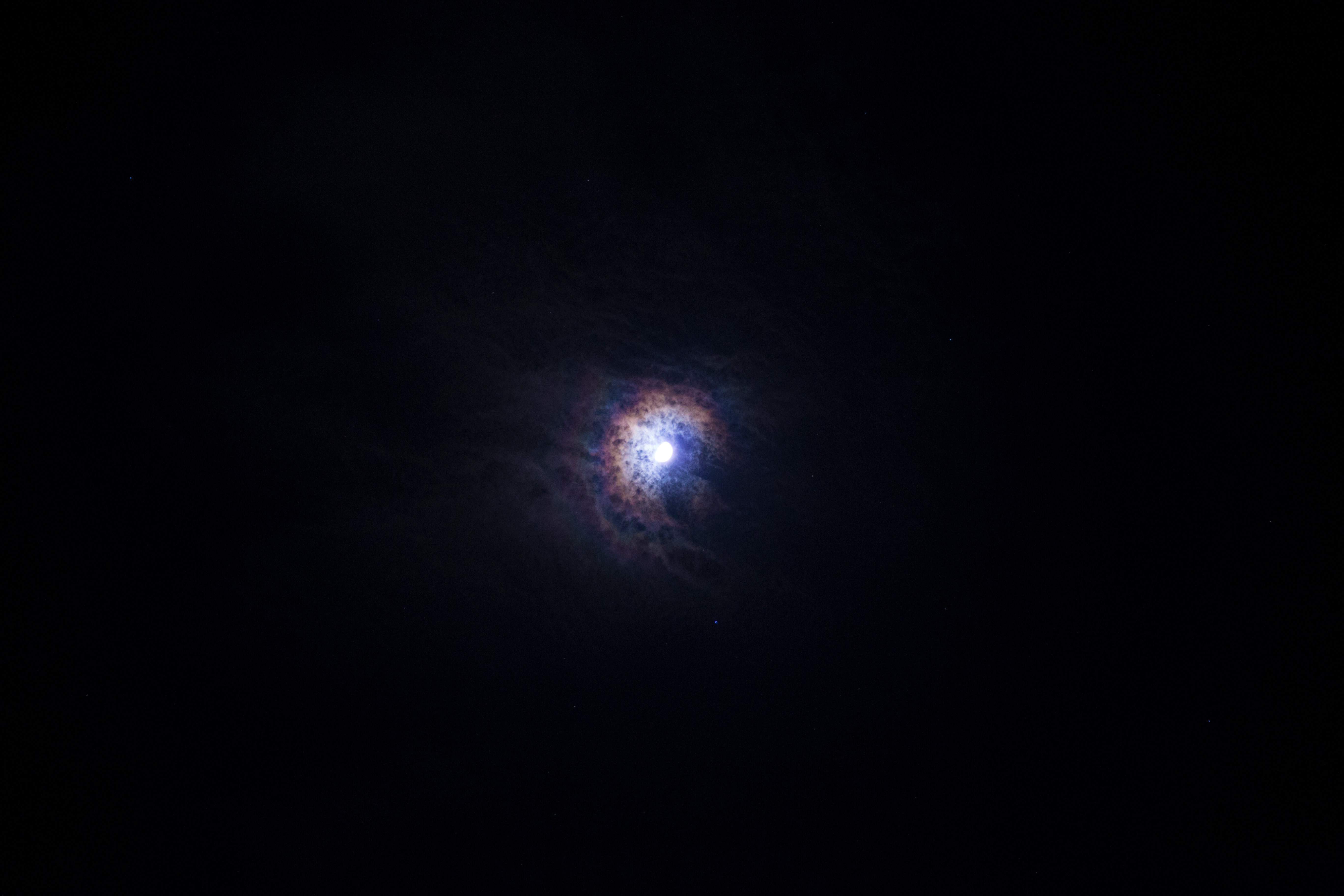 Wieniec /123RF/PICSEL