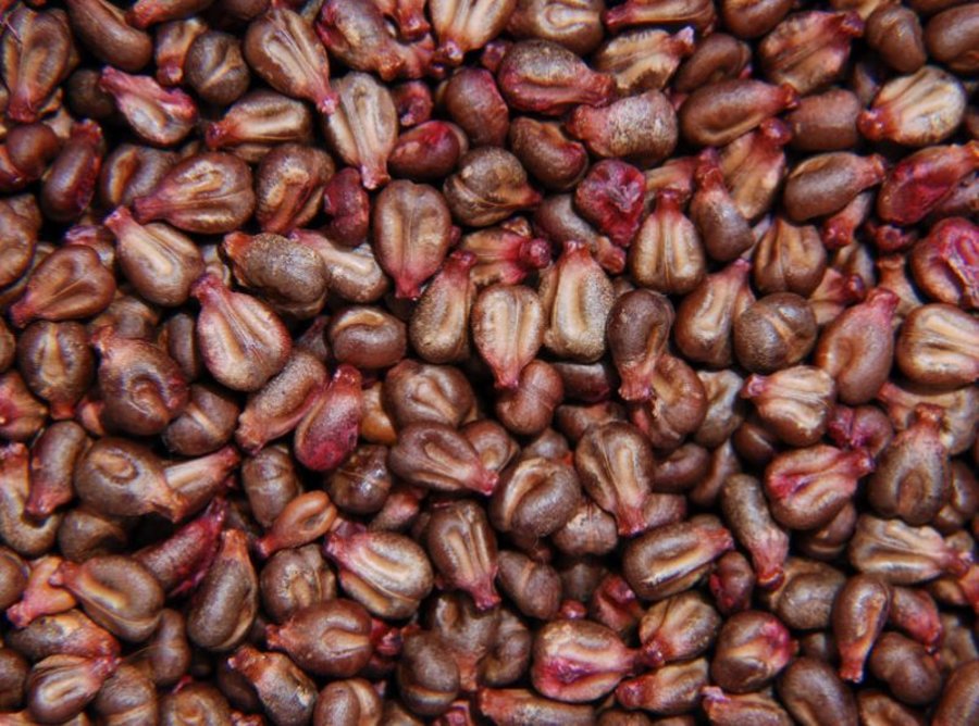 Szkodliwy post na Facebooku