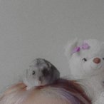 Nika_ok