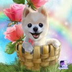 Marysia_