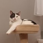 Majciaaa