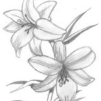 HongMei