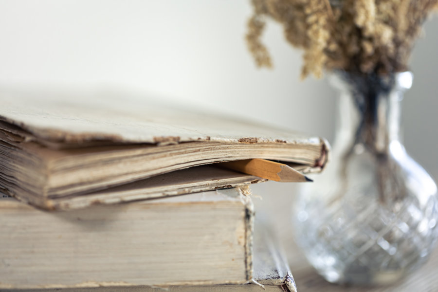 Dziesięć ikonicznych postaci z lektur szkolnych, które warto znać