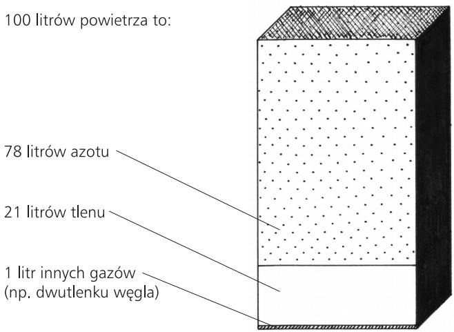 Skład powietrza