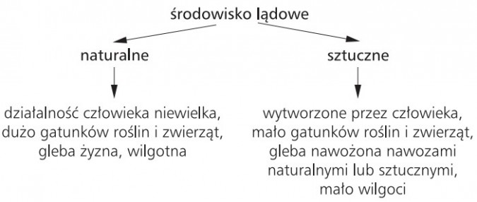 Środowisko lądowe