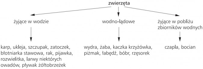 Zwierzęta wodne