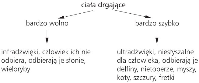Ciała drgające: 1) bardzo wolno (infradźwięki, człowiek ich nie odbiera, odbierają je słonie, wieloryby); 2) bardzo szybko (ultradźwięki, niesłyszalne dla człowieka, odbierają je delfiny, nietoperze, myszy, koty, szczury, fretki).