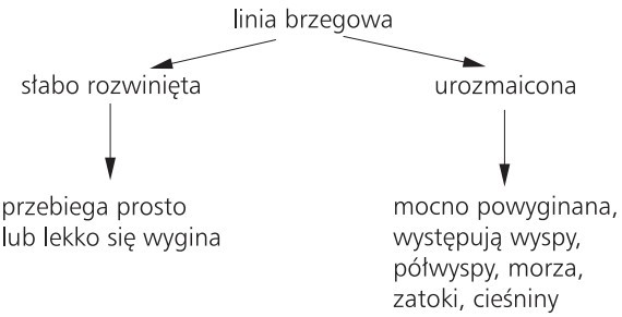 Linia brzegowa: 1) słabo rozwinięta (przebiega prosto lub lekko się wygina); 2) urozmaicona (mocno powyginana, występują wyspy, półwyspy, morza, zatoki, cieśniny).