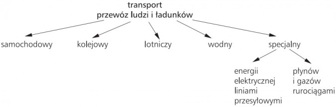 Transport, przewóz ludzi i ładunków: samochodowy, kolejowy, lotniczy, wodny, specjalny (energii elektrycznej liniami przesyłowymi, płynów i gazów rurociągami).