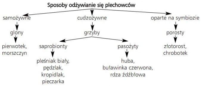 Sposoby odżywiania się plechowców: 1) samożywne (glony - pierwotek, morszczyn); 2) cudzożywne - grzyby (a. saprobionty - pleśniak biały, pędzlak, kropidlak, pieczarka; b. pasożyty - huba, buławinka czerwona, rdza źdźbłowa); 3) oparte na symbiozie (porosty - złotorost, chrobotek).