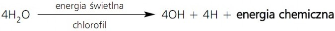 Fotosynteza. 4H2O, energia świetlna, chlorofil, 4OH + 4H + energia chemiczna