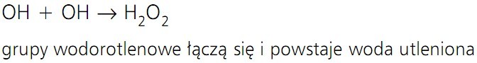 Fotosynteza. OH + OH = H2O2. Grupy wodorotlenowe łączą się i powstaje woda utleniona.