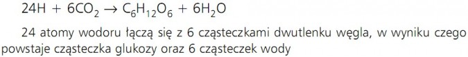 Fotosynteza. 24H + 6CO2 = C6H12O6 + 6H2O. 24 atomy wodoru łączą się z 6 cząsteczkami dwutlenku węgla, w wyniku czego powstaje cząsteczka glukozy oraz 6 cząsteczek wody.