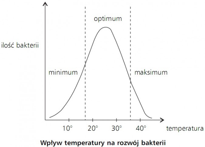 Wpływ temperatury na rozwój bakterii. Ilość bakterii, temperatura. Minimum, optimum, maksimum.