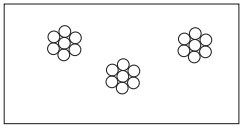 Typy rozmieszczenia osobników. Skupiskowe.