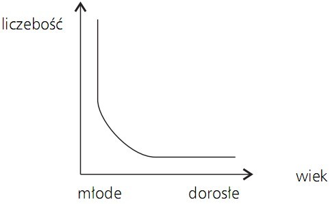 Krzywa przeżywania u osobników nie opiekujących się potomstwem, np.: ślimaków, większości ryb. Liczebność, wiek. Młode, dorosłe.