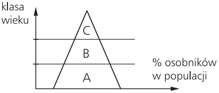 Populacja rozwijająca się - wykres.