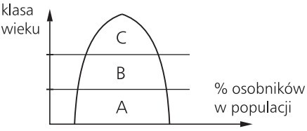 Populacja ustabilizowana - wykres.