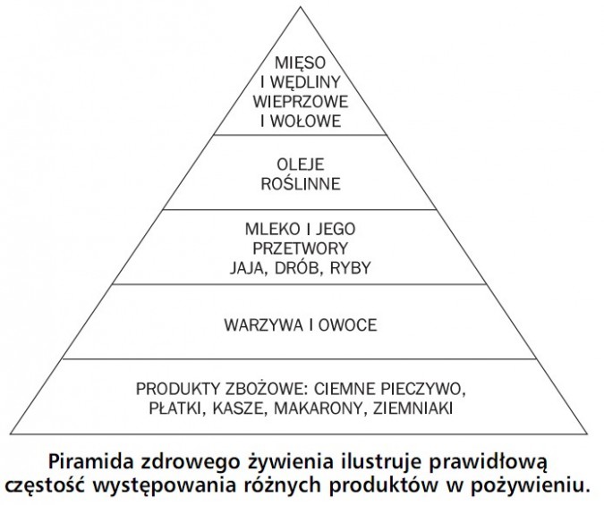 Piramida zdrowego żywienia ilustruje prawidłową częstość występowania różnych produktów w pożywieniu. Mięso i wędliny wieprzowe i wołowe; oleje roślinne; mleko i jego przetwory, jaja, drób, ryby; warzywa i owoce; produkty zbożowe: ciemne pieczywo, płatki, kasze, makarony, ziemniaki.