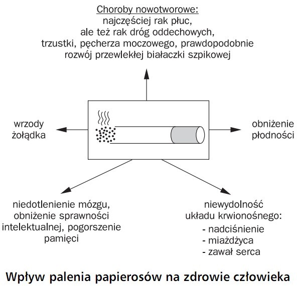 Wpływ palenia papierosów na zdrowie człowieka. Choroby nowotworowe: najczęściej rak płuc, ale też rak dróg oddechowych, trzustki, pęcherza moczowego, prawdopodobnie rozwój przewlekłej białaczki szpikowej. Wrzody żołądka. Niedotlenienie mózgu, obniżenie sprawności intelektualnej, pogorszenie pamięci. Niewydolność układu krwionośnego: nadciśnienie, miażdżyca, zawał serca. Obniżenie płodności.