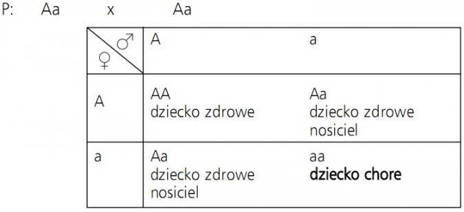Schemat dziedziczenia typowej choroby będącej skutkiem mutacji genowej. Obydwoje rodzice zdrowi, ale będący nosicielami choroby. Dziecko zdrowe, dziecko zdrowe nosiciel, dziecko chore.