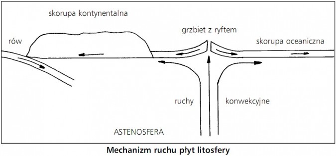 Mechanizm ruchu płyt litosfery. Rów, skorupa kontynentalna, grzbiet z ryftem, skorupa oceaniczna, ruchy konwekcyjne, astenosfera.