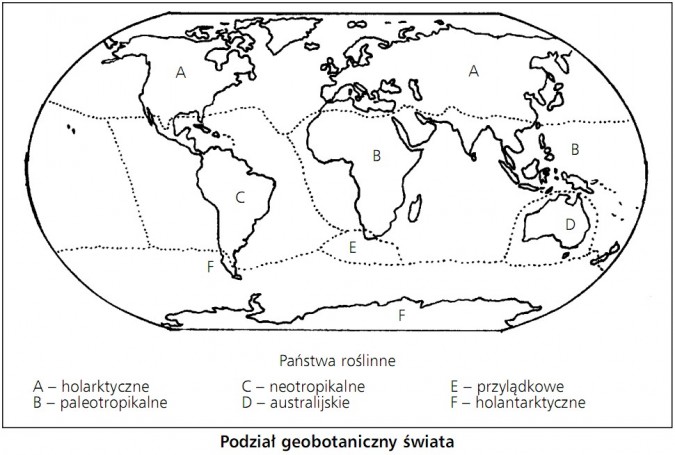 Podział geobotaniczny świata. Państwa roślinne: holarktyczne, paleotropikalne, neoptropikalne, australijskie, przylądkowe, holantarktyczne.