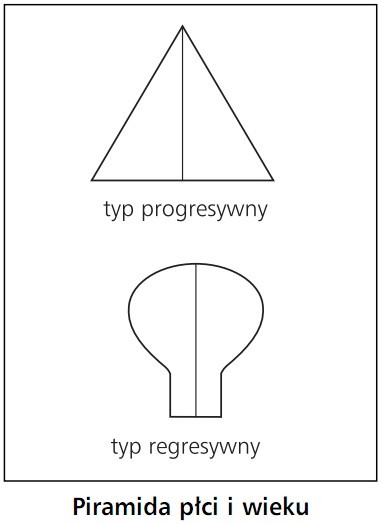Piramida płci i wieku. Typ progresywny, typ regresywny.