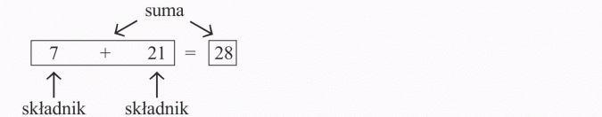 Dodawanie. Suma, składnik.