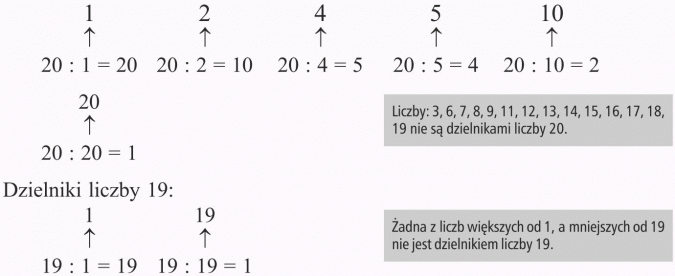 Zapisz Dzielniki Liczb 24 I 36 Dzielniki liczb - Matematyka - Opracowania.pl
