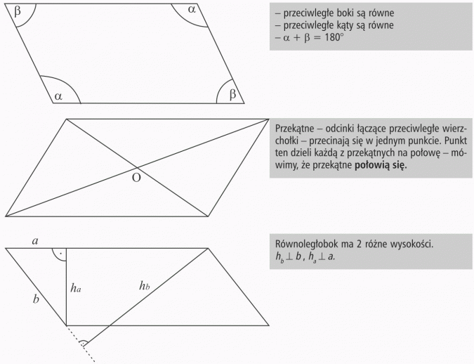 Czworokąty. Przeciwległe boki są równe. Przeciwlegle kąty są równe. Przekątne - odcinki łączące przeciwległe wierzchołki - przecinają się w jednym punkcie. Punkt ten dzieli każdą z przekątnych na połowę - mówimy, że przekątne połowią się. Równoległobok ma 2 różne wysokości.