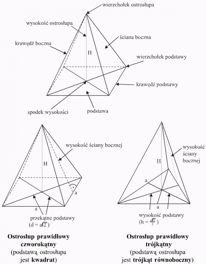 Ostrosłupy. Wierzchołek ostrosłupa, wysokość ostrosłupa, krawędź boczna, ściana boczna, wierzchołek podstawy, krawędź podstawy, spodek wysokości, podstawa. Wysokość ściany bocznej. Przekątne podstawy. Wysokość podstawy. Ostrosłup prawidłowy czworokątny (podstawą ostrosłupa jest kwadrat). Ostrosłup prawidłowy trójkątny (podstawą ostrosłupa jest trójkąt równoboczny).