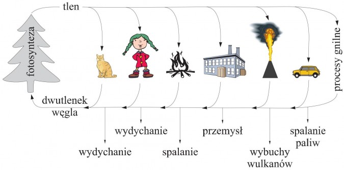 Obieg w przyrodzie. Fotosynteza, tlen, procesy gnilne, spalanie paliw, wybuchy wulkanów, przemysł, spalanie, wydychanie, dwutlenek węgla.