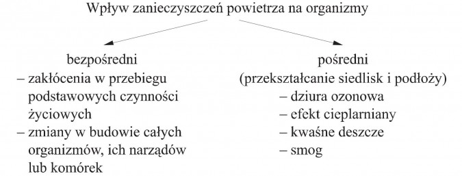 Wpływ zanieczyszczeń powietrza na organizmy. Bezpośredni: zakłócenia w przebiegu podstawowych czynności życiowych; zmiany w budowie całych organizmów, ich narządów lub komórek. Pośredni (przekształcanie siedlisk i podłoży): dziura ozonowa, efekt cieplarniany, kwaśne deszcze, smog.