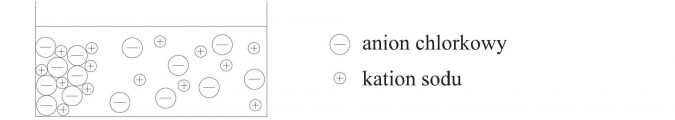 Anion chlorkowy, kation sodu.
