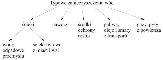 Typowe zanieczyszczenia wód: ścieki (wody odpadowe przemysłu, ścieki bytowe z miast i wsi); nawozy; środki ochrony roślin; paliwa, oleje i smary z transportu; gazy, pyły z powietrza.