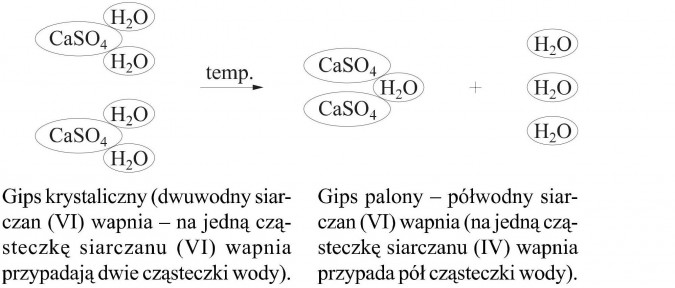 Gips krystaliczny (dwuwody siarczan (VI) wapnia - na jedną cząsteczkę siarczanu (VI) wapnia przypadają dwie cząsteczki wody). Gips palony - półwodny siarczan (VI) wapnia (na jedną cząsteczkę siarczanu (IV) wapnia przypada pół cząsteczki wody).