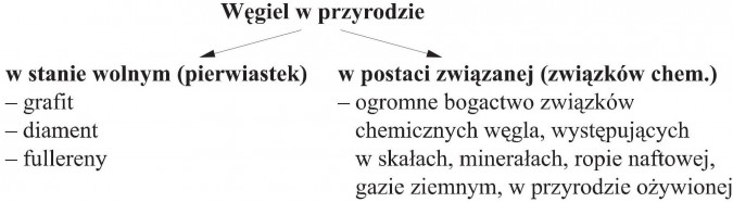 Węgiel w przyrodzie: w stanie wolnym (pierwiastek) - grafit, diament, fullereny; w postaci związanej (związków chemicznych) - ogromne bogactwo związków chemicznych węgla, występujących w skałach, minerałach, ropie naftowej, gazie ziemnym, w przyrodzie ożywionej.