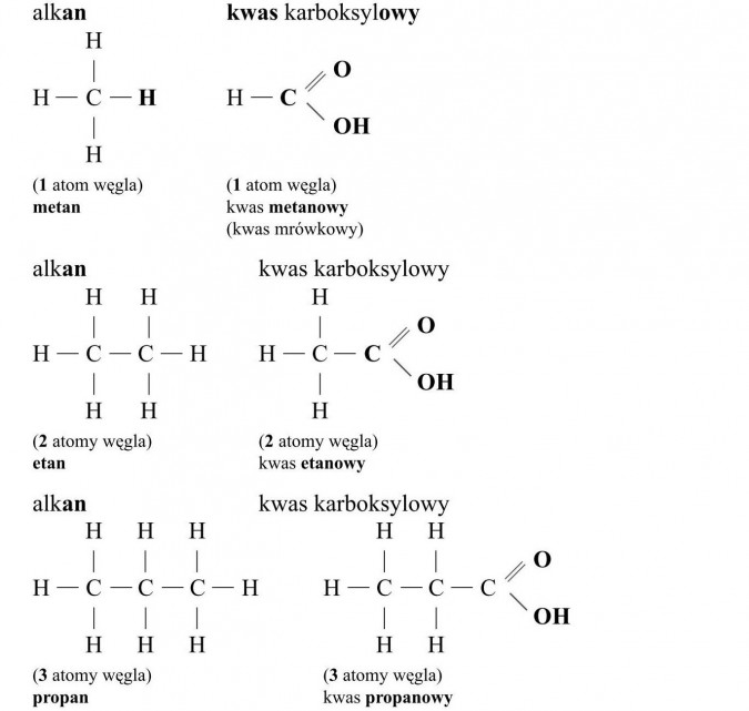 Kwasy karboksylowe. Alkan, metan, etan, propan. Kwas metanowy (mrówkowy), kwas etanowy, kwas propanowy. Atomy węgla.