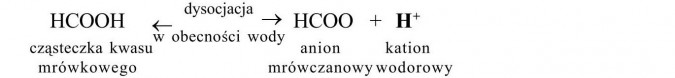 Charakterystyka kwasów karboksylowych. Kwas mrówkowy - dysocjacja. Cząsteczka kwasu mrówkowego, anion mrówczanowy, kation wodorowy. Dysocjacja w obecności wody.