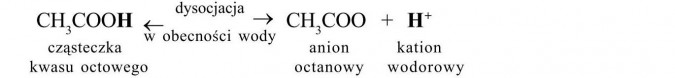 Charakterystyka kwasów karboksylowych. Kwas octowy - dysocjacja. Cząsteczka kwasu octowego, anion octanowy, kation wodorowy. Dysocjacja w obecności wody.