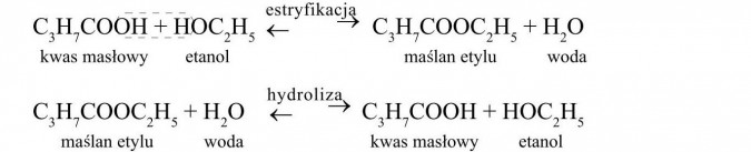 Wzory niektórych estrów. Kwas masłowy, etanol, maślan etylu, woda. Estryfikacja, hydroliza.