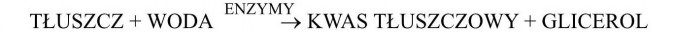 Tłuszcze - budowa i właściwości. Tłuszcz + woda (enzymy) = kwas tłuszczowy + glicerol.