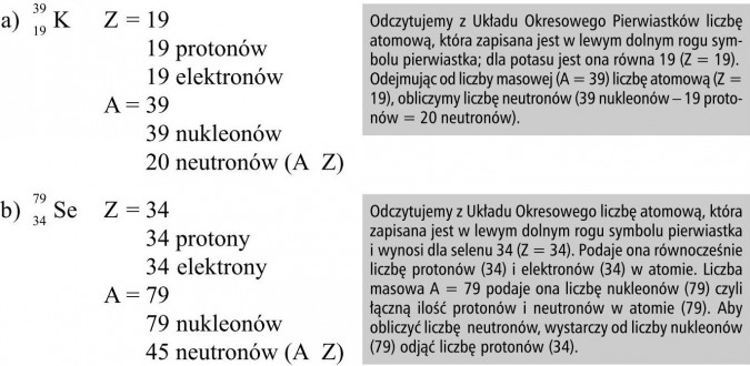 Odczytujemy z Układu Okresowego Pierwiastków liczbę atomową, która zapisana jest w lewym dolnym rogu symbolu pierwiastka; dla potasu jest ona równa 19 (Z = 19). Odejmując od liczby masowej (A = 39) liczbę atomową (Z = 19), obliczymy liczbę neutronów (39 nukleonów - 19 protonów = 20 neutronów). Odczytujemy z Układu Okresowego liczbę atomową, która zapisana jest w lewym dolnym rogu symbolu pierwiastka i wynosi dla selenu 34 (Z = 34). Podaje ona równocześnie liczbę protonów (34) i elektronów (34) w atomie. Liczba masowa A = 79 podaje ona liczbę nukleonów (79) czyli łączną ilość protonów i neutronów w atomie (79). Aby obliczyć liczbę neutronów, wystarczy od liczby nukleonów (79) odjąć liczbę protonów (34).