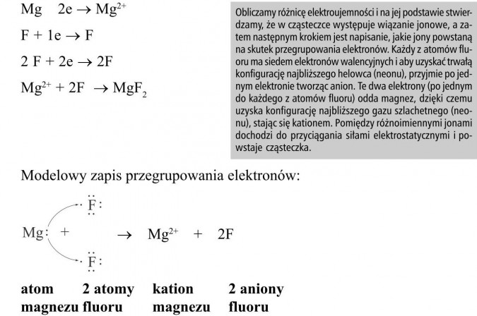 Obliczamy różnicę elektroujemności i na jej podstawie stwierdzamy, że w cząsteczce występuje wiązanie jonowe, a zatem następnym krokiem jest napisanie, jakie jony powstaną na skutek przegrupowania elektronów. Każdy z atomów fluoru ma siedem elektronów walencyjnych i aby uzyskać trwałą konfigurację najbliższego helowca (neonu), przyjmie po jednym elektronie tworząc anion. Te dwa elektrony (po jednym do każdego z atomów fluoru) odda magnez, dzięki czemu uzyska konfigurację najbliższego gazu szlachetnego (neonu), stając się kationem. Pomiędzy różnoimiennymi jonami dochodzi do przyciągania siłami elektrostatycznymi i powstaje cząsteczka. Modelowy zapis przegrupowania elektronów.
