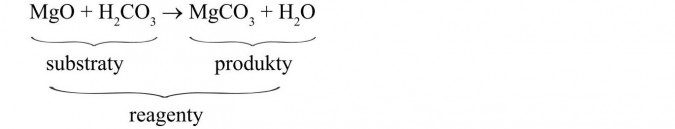 Substraty, produkty, reagenty.