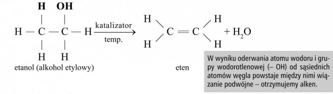 W wyniku oderwania atomu wodoru i grupy wodorotlenowej (- OH) od sąsiednich atomów węgla powstaje między nimi wiązanie podwójne - otrzymujemy alken.